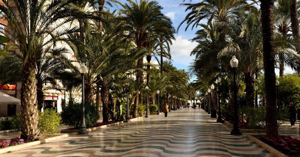 35-3- Комната В Квартире Для Семьи От 1 До 4 Человек В Центре Аликанте 알리칸테 외부 사진